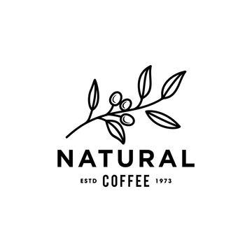 coffee bean plant branch hipster minimal logo vector with leaf simple line outline icon for natural cafe concept.