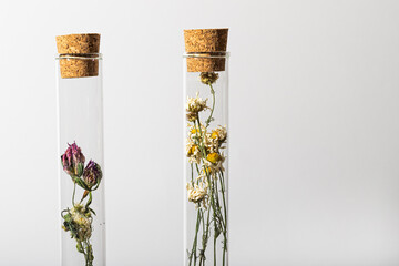 Test tube with dried flowers