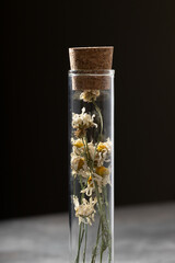 Dried flowers in flask