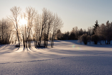 morning sun through trees shining on frost and snow covered field