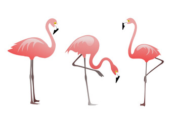 Naklejka premium pink flamingos. Vector set. Digital art, elements of design. 