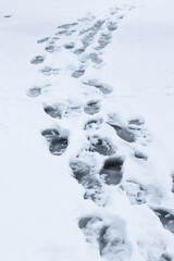 Pathway - Human footprints in the snow in Winter -close-up