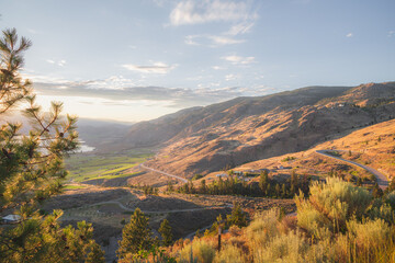 A sunset view of the Okanagan vineyards and orchards in Osoyoos, B.C. Canada, which is renowned...