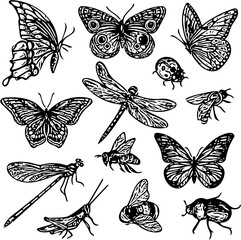 Set of butterflies and dragonflies