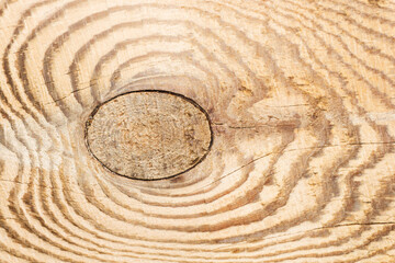 Fototapeta na wymiar Wood knot background. Grunge wooden texture. Dry desk cracks pattern. Cut tree slice cross section. Uneven natural material board. Brown wooden knot.