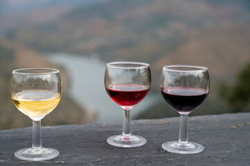 Tasting of Portuguese fortified port wine, produced in Douro Valley with Douro river and colorful terraced vineyards on background in autumn, Portugal