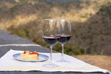 Tasting of Portuguese red dry wine, produced in Douro Valley with goat and sheep cheese and Douro river and terraced vineyards on background in autumn, Portugal