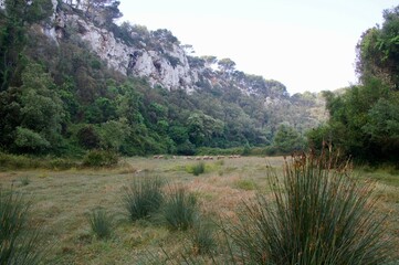 Beautiful landscape of the island of Menorca