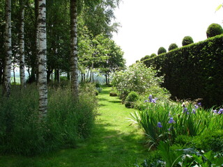 Obraz premium View of a garden with topiary