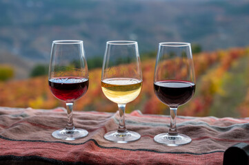 Tasting of Portuguese fortified port wine, produced in Douro Valley with colorful terraced vineyards on background in autumn, Portugal