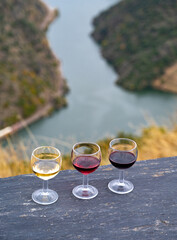 Tasting of Portuguese fortified port wine, produced in Douro Valley with Douro river and colorful terraced vineyards on background in autumn, Portugal
