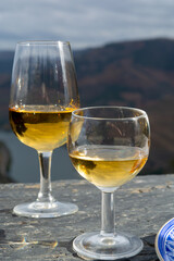Tasting of Portuguese fortified port wine, produced in Douro Valley with Douro river and colorful...