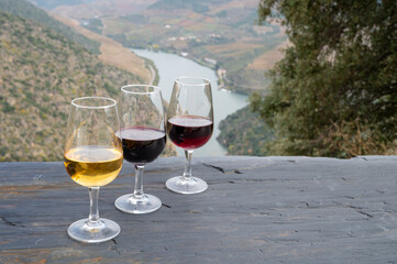 Tasting of Portuguese fortified port wine, produced in Douro Valley with Douro river and colorful terraced vineyards on background in autumn, Portugal