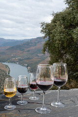 Tasting of Portuguese fortified port wine and dry red wine, produced in Douro Valley with Douro river and colorful terraced vineyards on background in autumn, Portugal