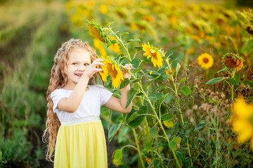 a little beautiful girl holds a sunflower in a field in summer