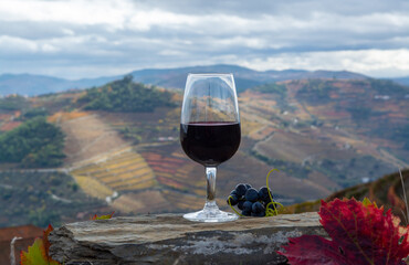 Tasting of Portuguese fortified port wine, produced in Douro Valley with colorful terraced...