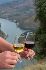 Tasting of Portuguese fortified port wine, produced in Douro Valley with Douro river and colorful terraced vineyards on background in autumn, Portugal