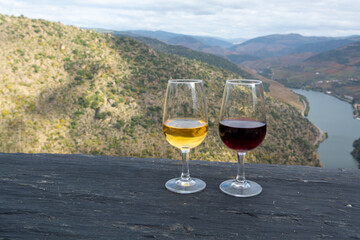 Glasses of Portuguese fortified port wine, produced in Douro Valley and Douro river with colorful terraced vineyards on background in autumn, Portugal
