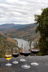 Tasting of Portuguese fortified port wine and dry red wine, produced in Douro Valley with Douro river and colorful terraced vineyards on background in autumn, Portugal
