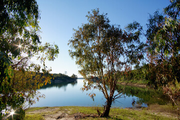 Alzitone lake in the eastern plain of Corsica