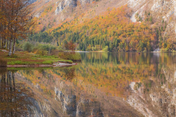 A calm reflection with mountain backdrop on an autumn day at Lake Bohinj in Triglav National Park in the Julian Alps in Slovenia.