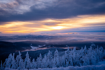 Beautiful Winter sunrise above the clouds. Trees covered in snow. Mist in a valley. Lysa Hora in winter Czech Republic. 