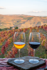 Glasses of Portuguese red dry and white sweet wine, produced in Douro Valley and old terraced vineyards on background in autumn, wine region of Portugal