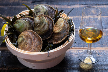 Food and drink pairing, fresh raw European flat oyster grown in Brittany in Belon river, France and scotch single malt whisky from Islay island, Scotland