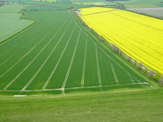 Obraz premium Aerial view of fields under cultivation 
