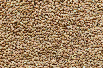 Dry buckwheat background, texture, close up