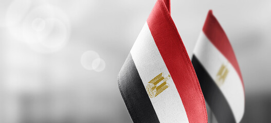 Small national flags of the Egypt on a light blurry background