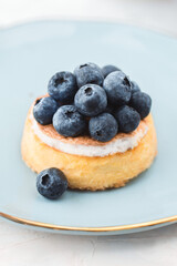 Cheesecake with fresh blueberries on blue luxury plate, light background