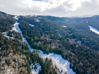 Stone river know Golden Bridges at Vitosha Mountain,Bulgaria