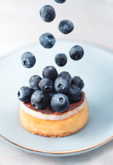 Food levitation. Cheesecake with fresh blueberries on blue luxury plate, light background