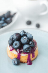 Cheesecake with fresh blueberries and jam on luxury plate, light blurred background,