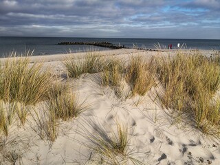 view of ocean with sandy beach and marram grass