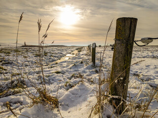 Winterlandschaft in Ostfriesland
