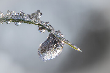 givre