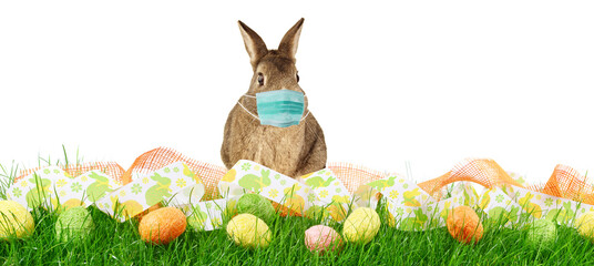 Osterhase mit Corona Maske auf einer Wiese isoliert - Panorama