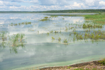 Contaminated waste water in the lower reservoir negocinho, Kuvshinovo, Tver region, Russia. 