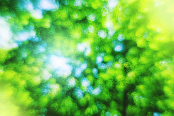 Abstract blurred summer spring background
