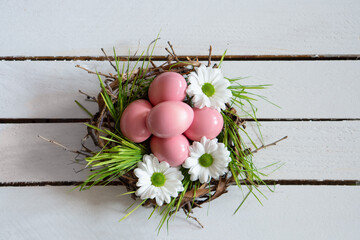 Nest with pink eggs and fresh flover on wooden background. Decorative Easter concept.