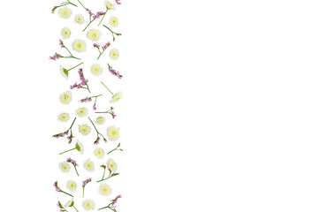 Flowers composition. Pattern made of chrysanthemums, isolated flat lay, top view, seamless pattern