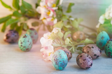 Happy Easter, Close-up colored quail egg, against the background of an apple, spring tree. Postcard for the holiday