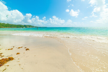 Turquoise water in Pointe de la Saline beach in Guadeloupe