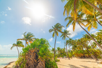 Sun shining over beautiful La Caravelle beach in Guadeloupe