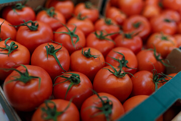 Soft focused shot of vegetable department in grocery store, supermarket, mall, hypermarket or shopping center. Boxes with tomatoes. Vegan healthy food concept.
