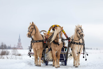Russian traditional fun - galloping on three horses in winter in a sleigh. Three horses jump...