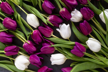 Obraz premium Beautiful purple and white tulips background. Spring flowers background top view. Banner, flat lay