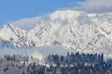 Snowcapped Mountains